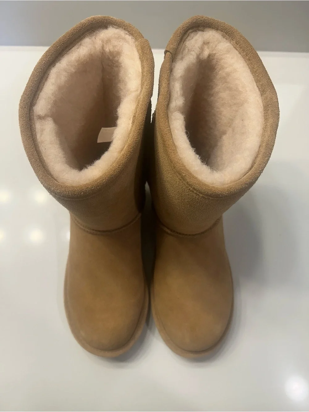 BearPaw Women's Tall Suede Boots in Chestnut